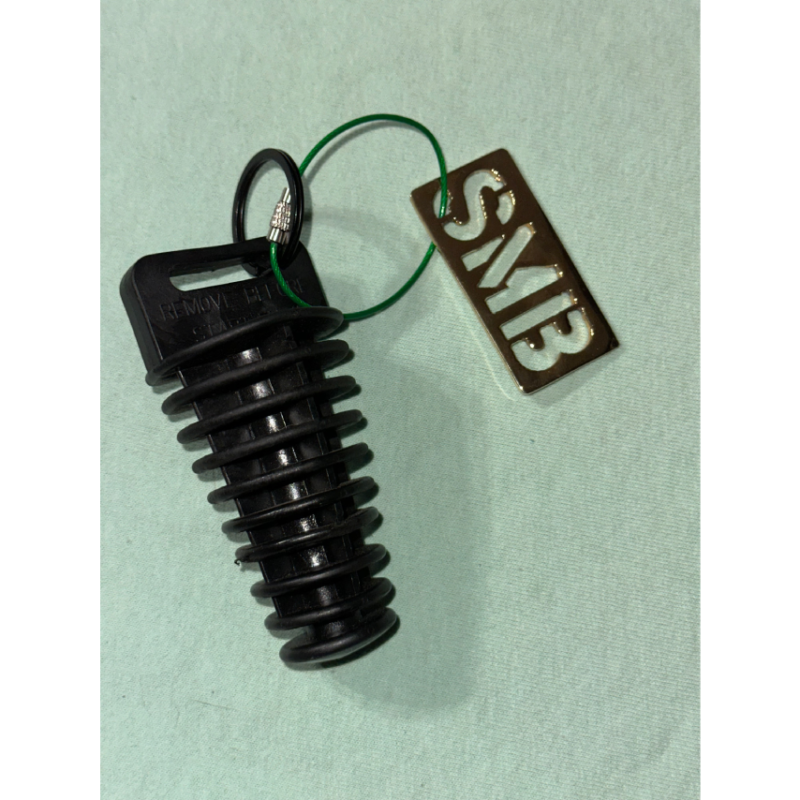 Gold-Plated Metal Tag Plug